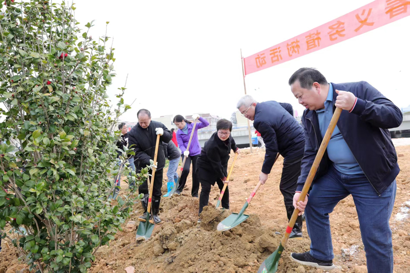 新春义务植树