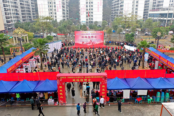 2月2日，深圳宝安·河池都安2023年“春风行动”招聘会现场求职者众多。高东风摄