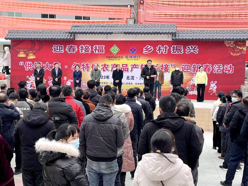 玉林市供销大集活动现场。