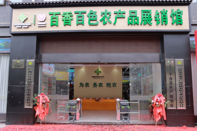 9百香百色农产品展销馆_副本