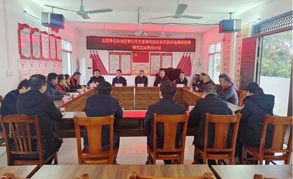 图为罗海山在武宣县三里镇双龙村召开调研座谈会。