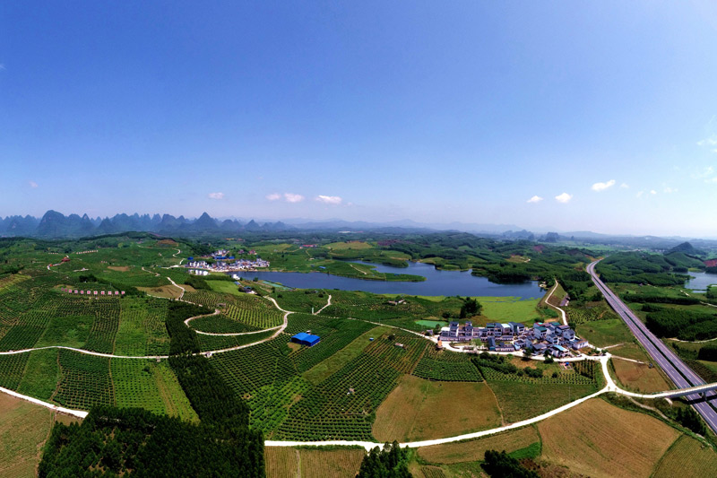 3.图为广西河池市罗城仫佬族治县小长安镇民族村大风岭中草药基地及农村公路。廖光福摄