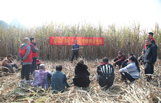 技术带头人开展“田间小课堂“知识讲座。姚锡全摄