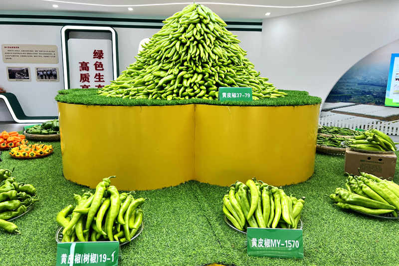 平桂區椒聞天下設施蔬菜產業示范區產品展示中心