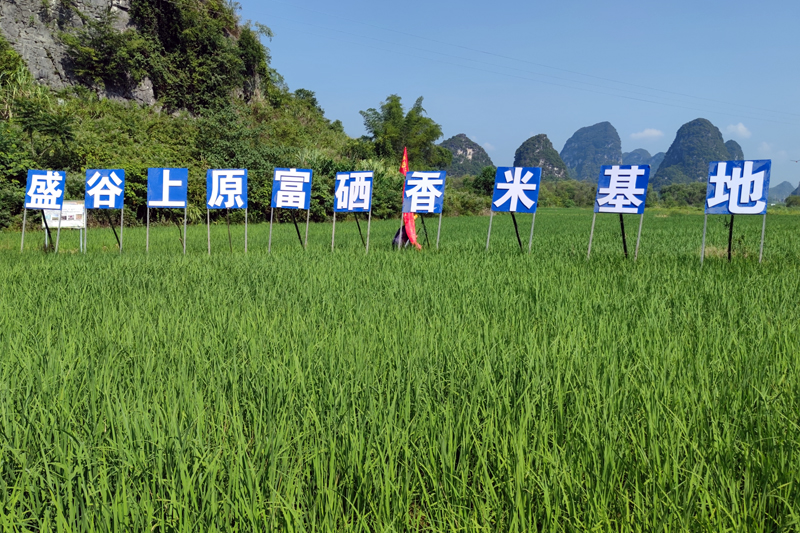 广西巾帼现代农业科技示范基地