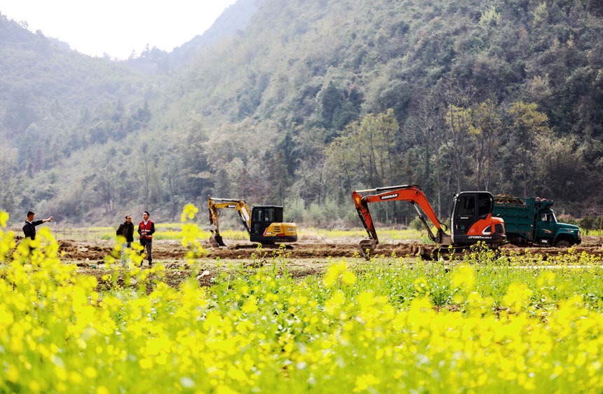 融安县农业农村局技术人员正在指挥挖掘机进行土地平整。