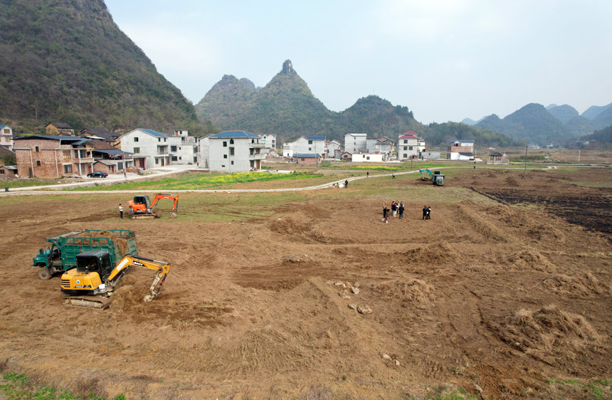 在融安縣橋板鄉古丹村田地裡，幾台挖掘機正在進行土地平整。