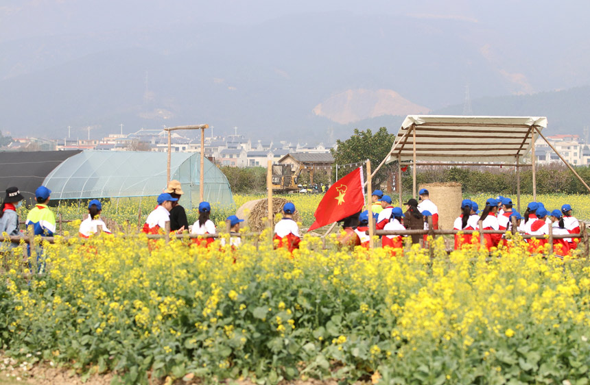 港北区贵城街道西江小学师生在幸福田园感悟耕种文化。樊超龙摄