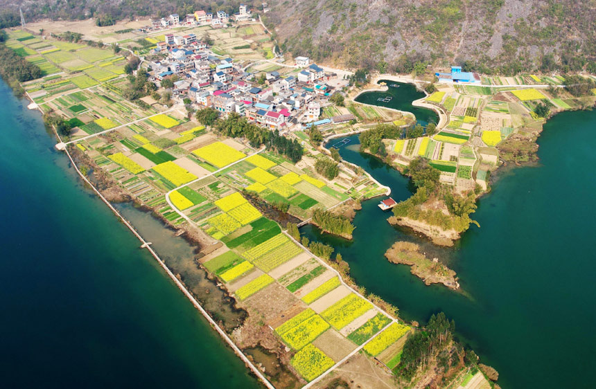 金黄的油菜花与江河、田野、村庄构成一幅产业兴旺、生态宜居的乡村振兴壮美画卷。
