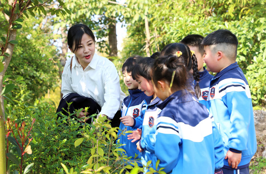 在廣西柳州市融安縣仙草堂花卉研學基地，該縣第二實驗小學的老師和學生們一起感受自然科學的魅力。