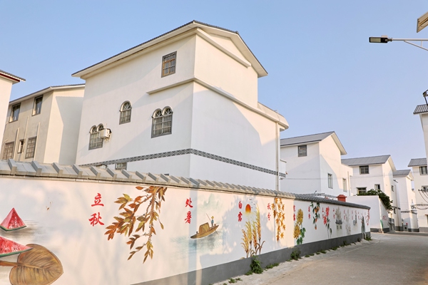 覃南村袁家屯“二十四节气”主题墙绘。张家恩摄