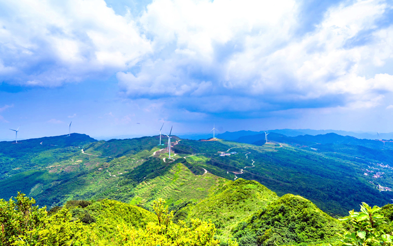 中广核乐业风电产业帮扶项目实景。中广核新能源广西分公司供图