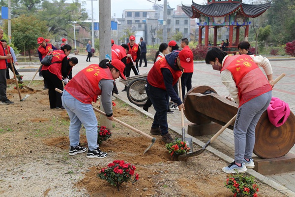 图为贺州市审计局志愿服务活动现场。