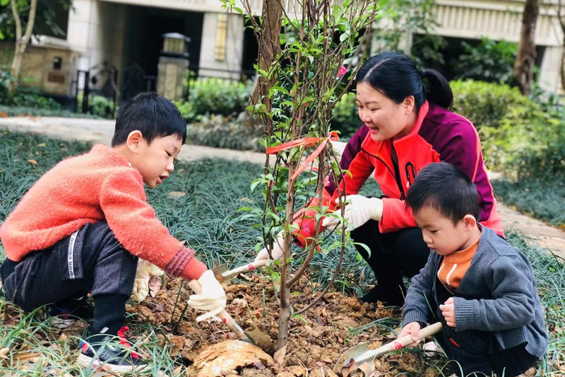 南宁市锦华小学学生在家长带领下进行植树活动。学校供图