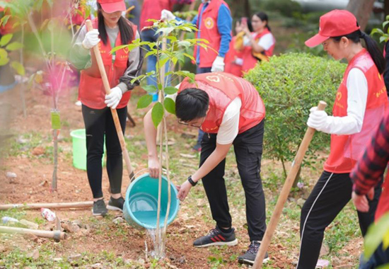 志愿者们正在给栽种好的树苗浇水。杨元福摄