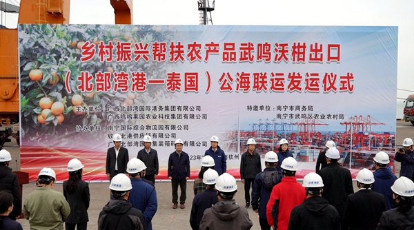 乡村振兴帮扶农产品广西武鸣沃柑出口（北部湾港-泰国）公海联运发运仪式现场。黄琨摄