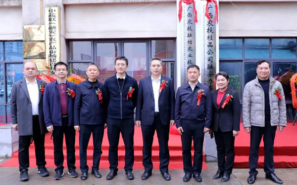 揭牌仪式现场。卫纲摄
