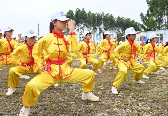 学生展示武术长拳。