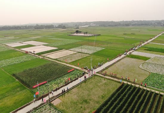 2023年春季农田水利基础设施建设现场。