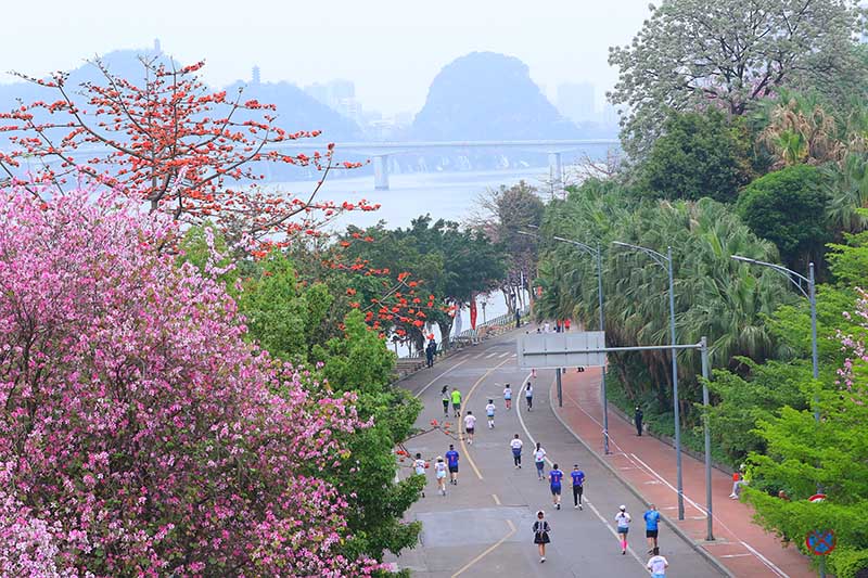 參賽選手在柳州市區奔跑。賽事組委會供圖