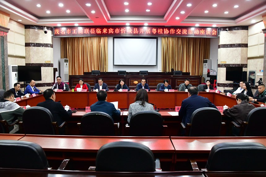 座谈会现场