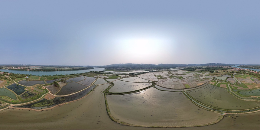 小龙虾养殖基地航拍。甘益江摄