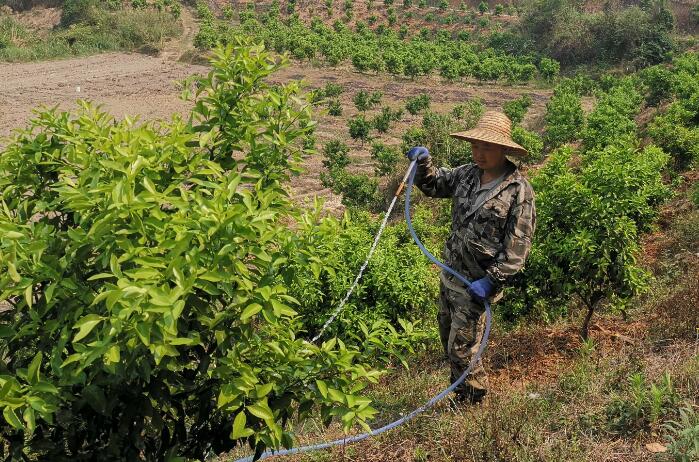 西林：抽水灌溉保春耕