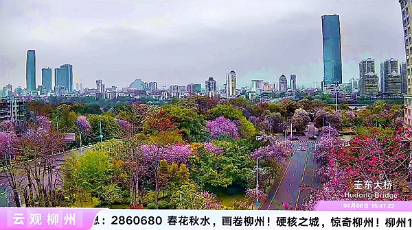 柳州市壶东大桥一带景致。直播截图