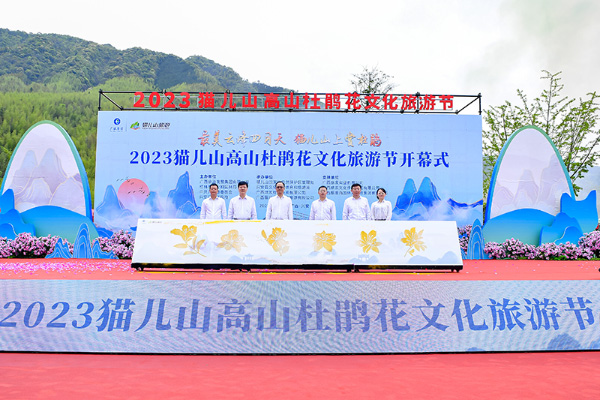 启动仪式。主办方供图