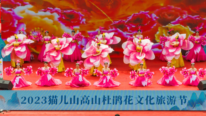 文化旅游节开幕式上的杜鹃花舞。陈旭摄