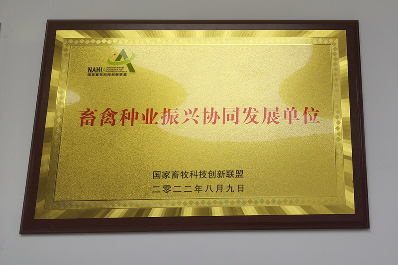 扬翔获畜禽种业振兴协同发展单位荣誉证书。扬翔股份供图