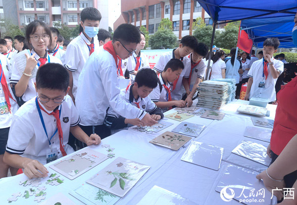 学生们在拼图学习中医药知识。人民网记者 陈燕摄