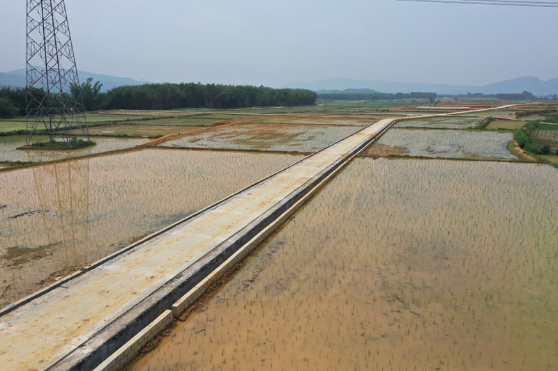 融水和睦镇吉塘村优质稻种植示范基地。