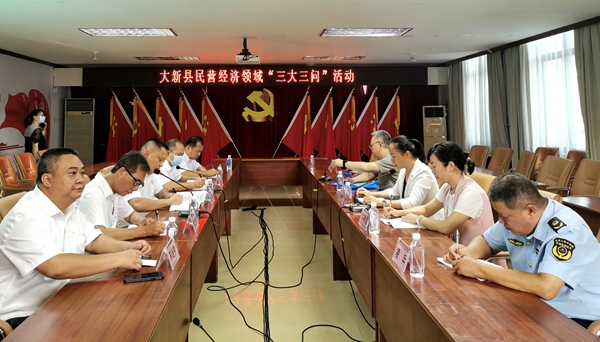 大新县民营经济领域“三大三问”活动 李艳萍摄