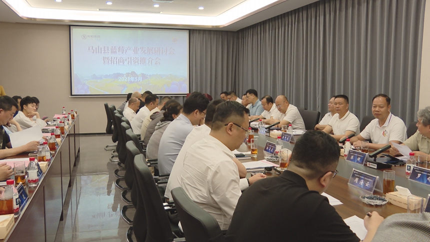 马山县蓝莓产业发展研讨会暨招商引资推介会现场。郑静摄