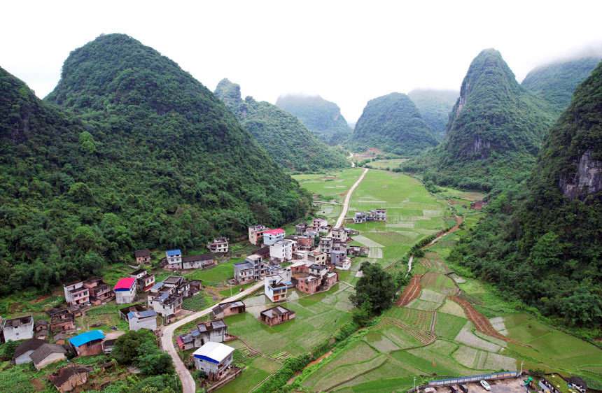 航拍的融安县桥板乡古板村罗汉果种植基地。