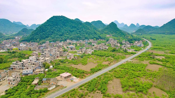富平路航拍圖。李學賢攝