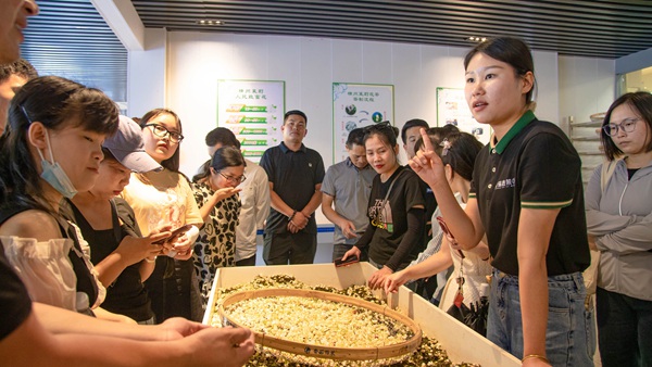 学员们到茉莉极萃园茉莉花茶标准生产和供应链基地观摩。马山县委组织部供图