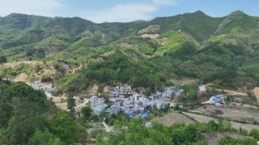 《辭別了我的“家”》