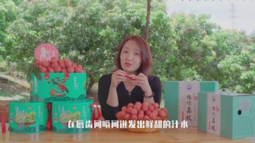 《桂墾良品 食安天下》荔枝篇
