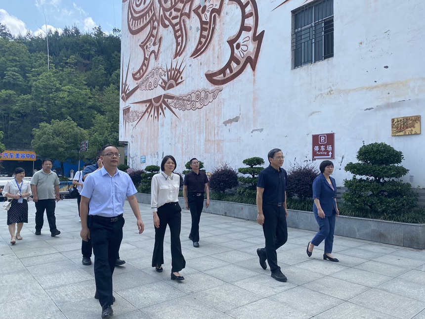 参观南丹县铜江健康主题公园。何善权摄