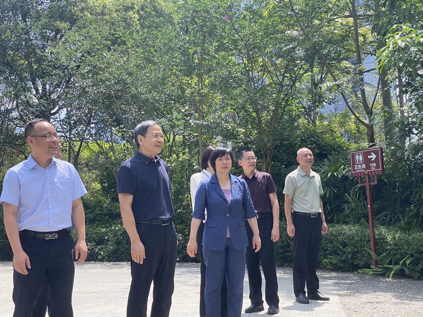 入户领导及专家组在铜江主题公园参观。何善权摄