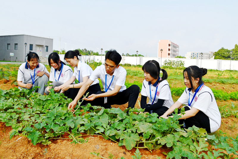 鐘山縣第三高級中學師生在學校勞動教育基地商討蔬菜種植技術。廖超文攝