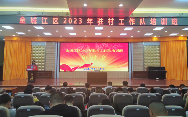 广西妇联派驻该区五圩镇三境村第一书记郑悦主持研讨会活动。