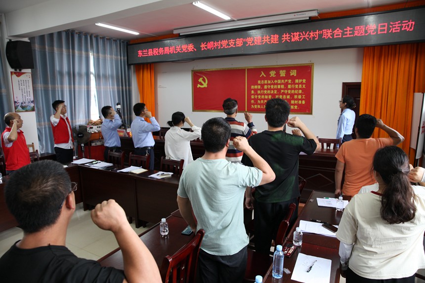 东兰县税务局党员与长峒村党员重温入党誓词。陈惠芳摄