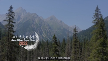 《白羽毛 飛起來》