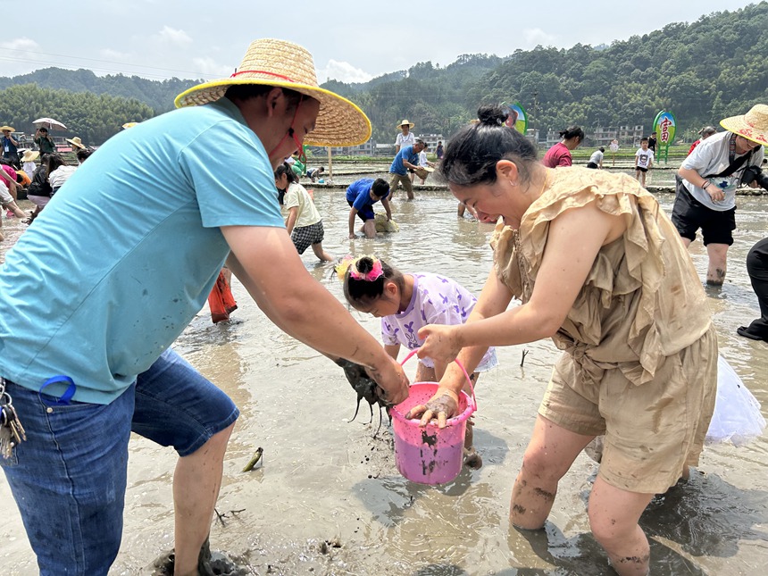 浑水摸螺抓鱼趣味十足，一家三口乐在其中。