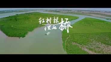 《紅樹林裡的橋》