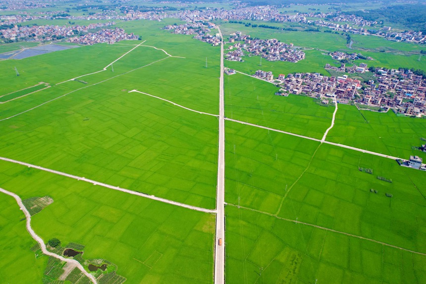 稻田航拍图。