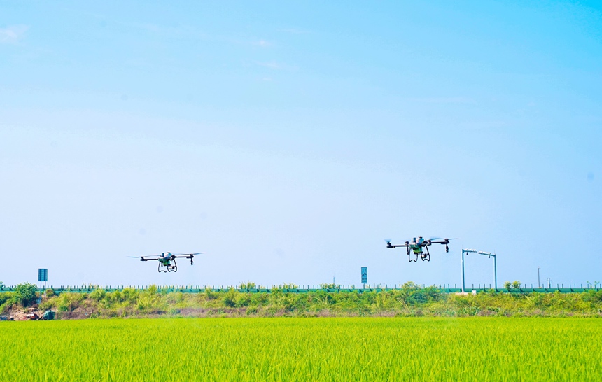 植保无人机开展“飞防”作业。